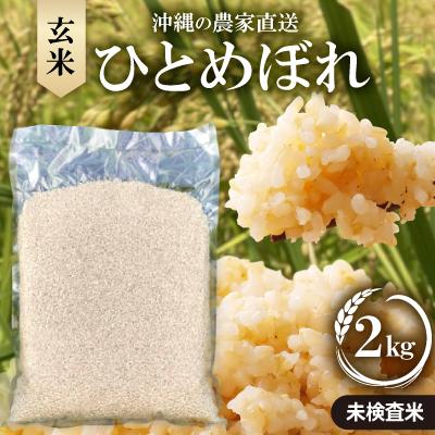 ふるさと納税 国頭村 【令和8年産新米・栽培期間中農薬不使用】沖縄の農家直送 ひとめぼれ 玄米 2kg