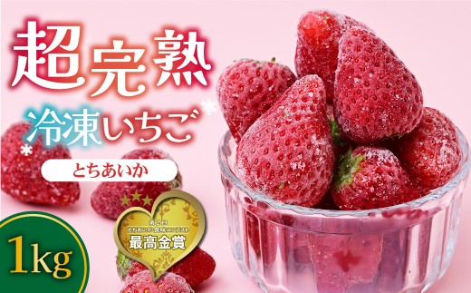 冷凍いちご 完熟とちあいか 1kg（500g×2） | いちご イチゴ 苺 とちあいか 完熟 ジャム スムージー スイーツ デザート アイス シャーベット 果物 フルーツ  鈴木いちご園 栃木県 茂木町