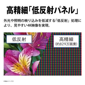 テレビ 43型 4K 液晶テレビ シャープ SHARP AQUOS アクオス 43V型 4T-C43GL1 Google TV YouTube Netflix 内蔵 4Kチューナー内蔵 裏番組録画 高