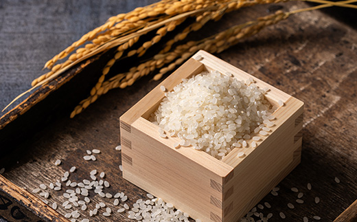 青森県産　青天の霹靂　白米10kg【配送不可地域：離島・沖縄県】