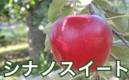  信州りんご3兄弟詰合せ 約5kg 11～18玉 ［おぶせファーマーズ］長野県産 令和8年産 【2026年10月中旬～11月上旬発送】 ［F-244］