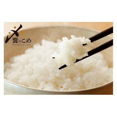 ふるさと納税 宝達志水町 【期間限定発送】 米 令和7年 2kg ×4種 計 8kg 精米 食べ比べ [38601091] |  | 02