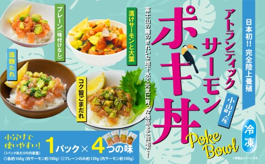 日本初 完全陸上養殖 静岡県小山町産 アトランティックサーモン 冷凍 ポキ丼（ 食べ比べ セット 約160g / 約130g × 1パック × 4つの味 ） | サーモン 小分け 真空パック 刺身 海鮮丼 海鮮 魚介 アボカド サーモン丼 国産 鮭 養殖 静岡県 小山町