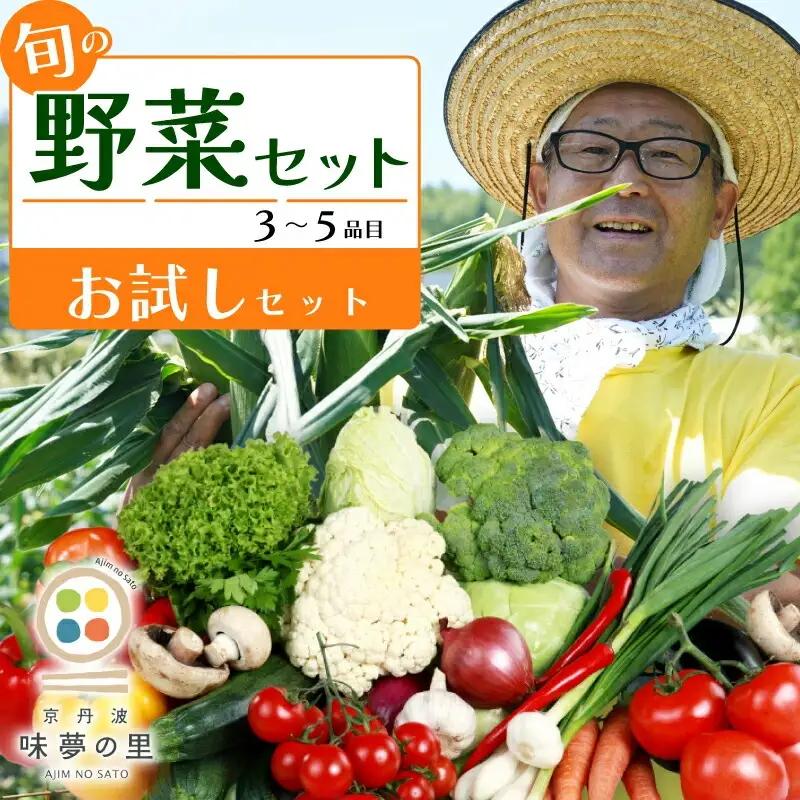 道の駅京丹波味夢の里 『旬のお野菜』 お試しセット 野菜詰め合わせ 3~5種類