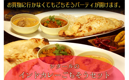 カレーセット 印度料理シタール インドカレー中ごちそう ナン付 カレーセット