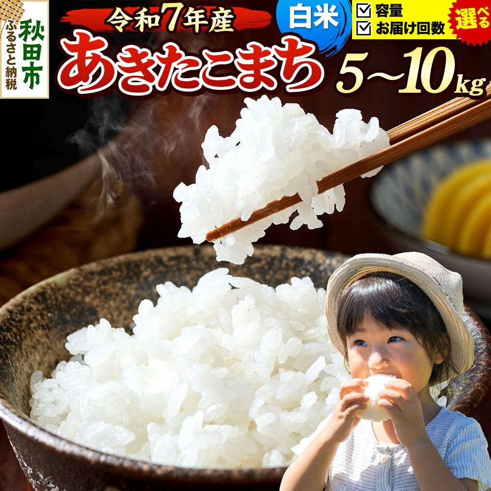 【ふるさと納税】《令和7年産》《選べる容量×お届け回数》 米 あきたこまち 5kg・10kg（5kg小分け袋） 【白米】 秋田県産
