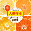 【ふるさと納税】人気柑橘食べくらべ定期便 全4回 計20kg どの坂果樹園《2025年1月上旬-5月上旬頃出荷》 和歌山県 日高川町 みかん 柑橘 不知火 送料無料 ゆら早生みかん 早生みかん 不知火 オレンジ