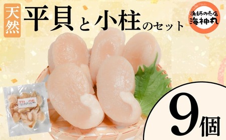 平貝と小柱のセット 9個 冷凍 平貝 タイラギ 貝 魚貝類 魚貝 タイラガイ 魚介 貝類 冷凍 BBQ 平貝 タイラギ 貝 魚貝類 魚貝 タイラガイ 魚介 貝類 冷凍 刺身 米 刺し身 魚介 貝類 冷凍 バター炒め 平貝 タイラギ 貝 魚貝類 魚貝 タイラガイ 魚介 貝類 冷凍 フライ 平貝 タイラギ 貝 魚貝類 魚貝 愛知県 南知多町 人気 おすすめ ふるさと納税海鮮