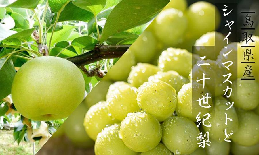 シャインマスカットと二十世紀梨のセット(大)