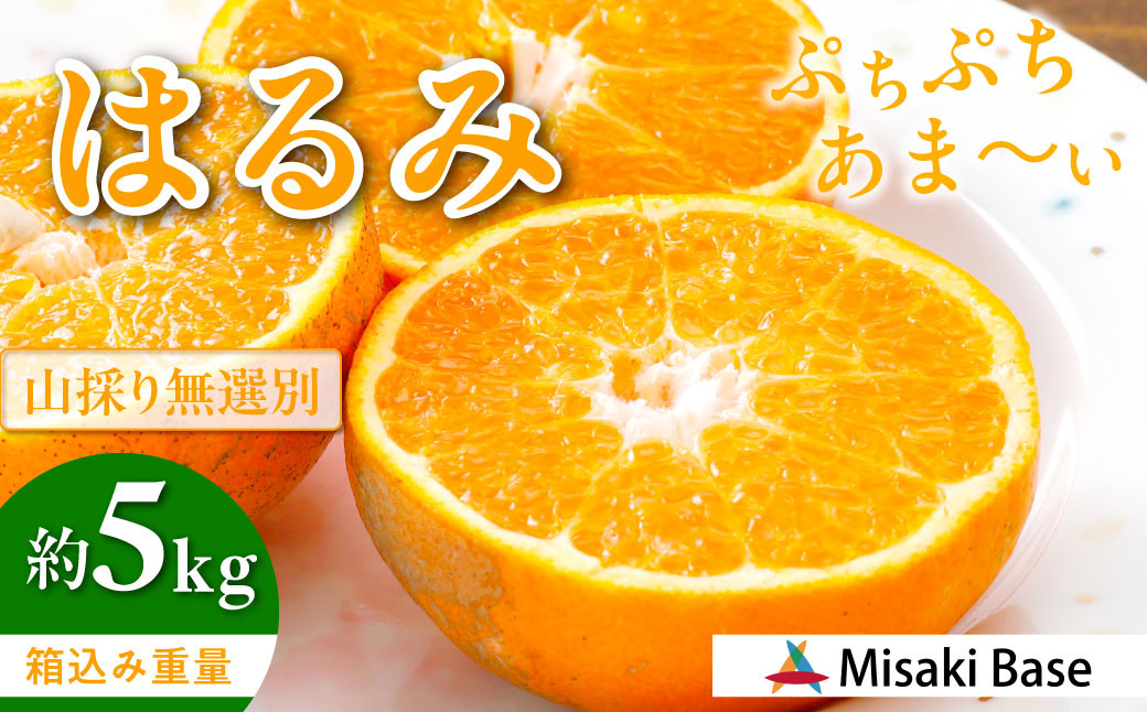 
                  【先行受付】【数量限定】【山採り無選別】はるみ 約5kg ※離島への配送不可（2027年2月中旬より順次発送）  【ふるさと納税 人気 おすすめ ランキング みかん 柑橘 ミカン 蜜柑 mikan 果物 はるみ はるみオレンジ フルーツ 糖度 甘い  タンゴール オレンジ 家庭用 おすそ分け 無選別 Misaki Base 愛媛県 伊方町 送料無料】 IKTAB011 
                