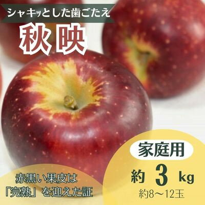 【ふるさと納税】りんご 秋映 約3kg 家庭用(8玉～12玉)【1495968】