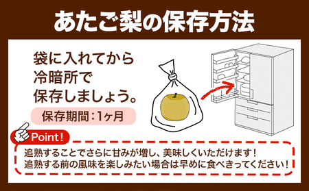 H-37a　岡山県産 あたご梨　4kg （3玉～6玉）令和7年度産先行受付《11月下旬‐12月中旬頃出荷》