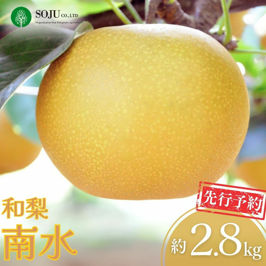 【ふるさと納税】先行予約 和梨 南水 約2.8kg 令和8年度 樹上完熟日本梨 新潟県 三条市産 [三条果樹専門家集団]【010S497】
