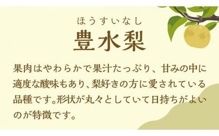 豊水梨 約5kg 9月上旬発送 梨 梨 梨 梨 梨 梨 梨