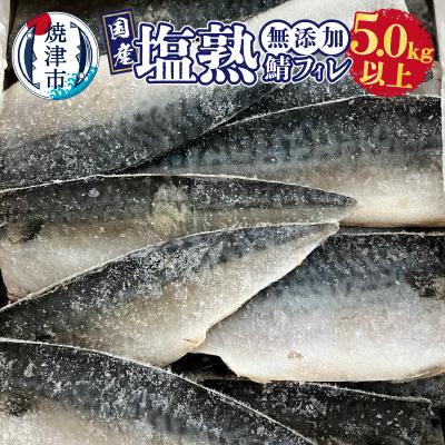 ふるさと納税 焼津市 5.0kg以上!国内産 無添加 塩熟 さば フィレ(a28-012)