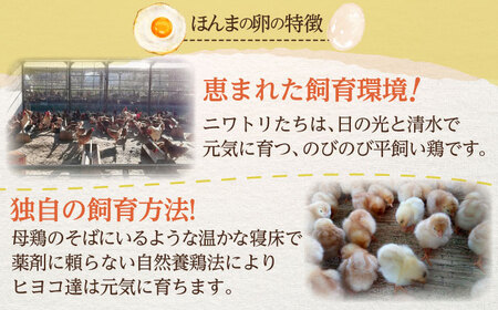 平飼いニワトリの有精卵！（10個×2パック）/ 卵  / 佐賀県 [41AJAA001]