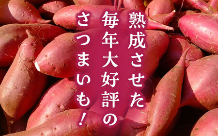 【数量限定】さつまいも 紅はるか or シルクスイート 蜜芋 10kg【合同会社 福福堂】さつまいも さつま芋 サツマイモ 熊本県産さつまいも 国産さつまいも [ZCN001]