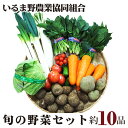 【ふるさと納税】No.004 旬の野菜セット ／ 農産物 新鮮 詰め合わせ 送料無料 埼玉県