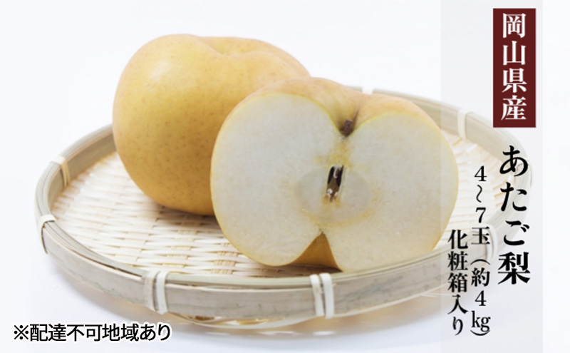 梨 2025年 先行予約 あたご梨 4～7玉（約4kg） 化粧箱入り なし ナシ 岡山県産 国産 フルーツ 果物 ギフト