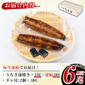 y490 《定期便・全3回》国産！うなぎ蒲焼き(2尾×3回・タレ付き) 国産 九州産 鰻 ウナギ うな重 うなじゅう 蒲焼 かばやき 土用 丑の日 うな丼 タレ タレ付 おかず 冷蔵 特産品 お土産 
