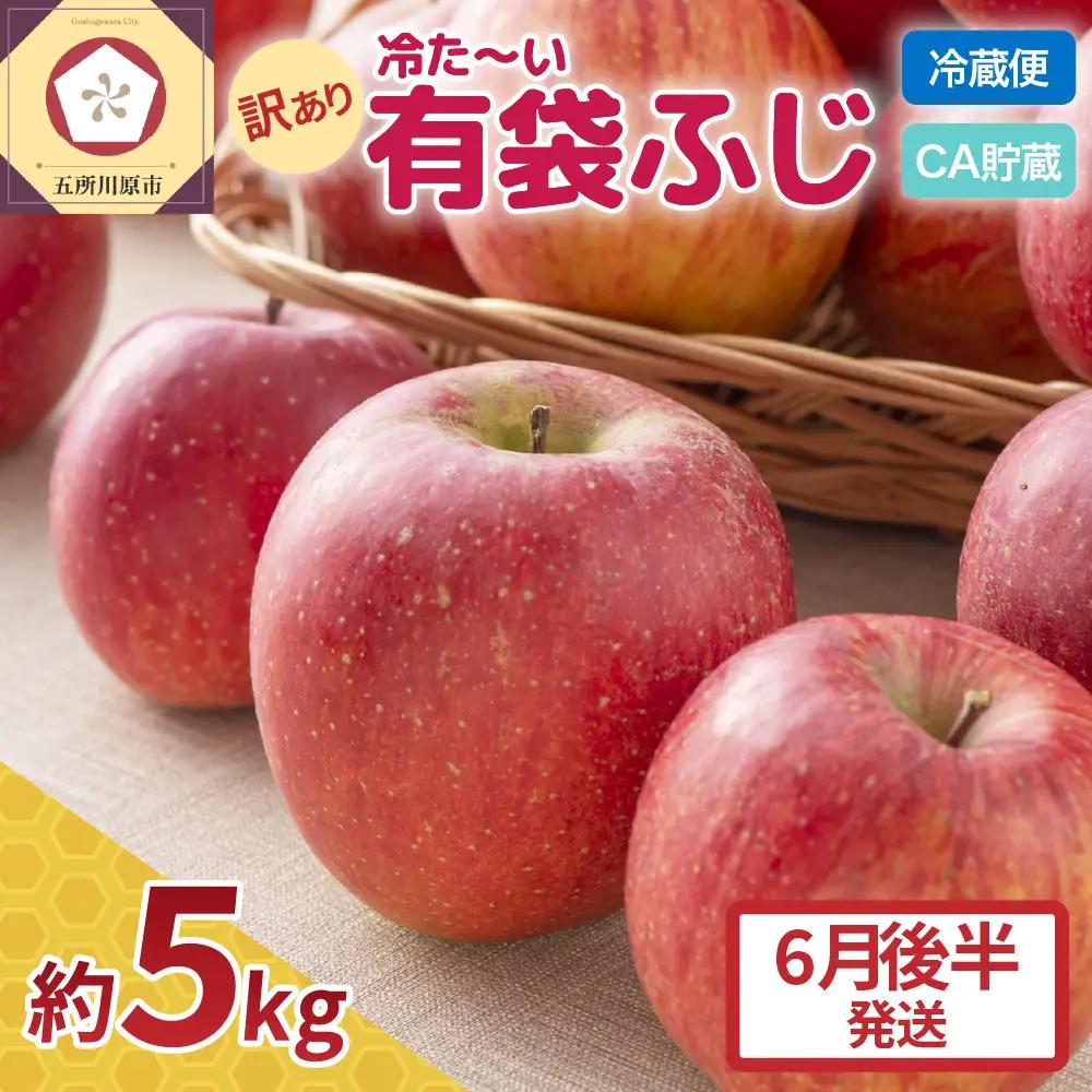 【2026年6月後半発送 】りんご ふじ 訳あり 約 5kg【 有袋栽培 CA貯蔵 クール便 果物類 林檎 家庭用 五所川原】