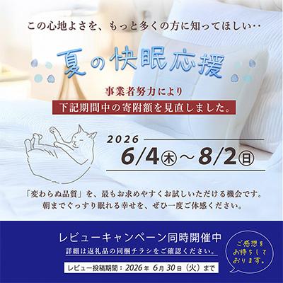 ふるさと納税 亀岡市 【夏の快眠応援】ひとつひとつ丁寧にまごころをこめて匠がつくった「エアープロテクション枕」 |  | 01