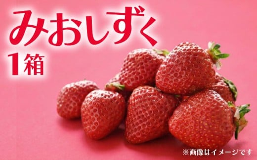 【先行予約】 数量限定 いちご 350g 1箱 みおしずく 完熟 贈答 贈答用 イチゴ 苺 果物 スイーツ デザート フルーツ くだもの ベリー 甘い オススメ 人気 ichigo strawberry itigo 滋賀県 竜王町 ひさだ苺農園