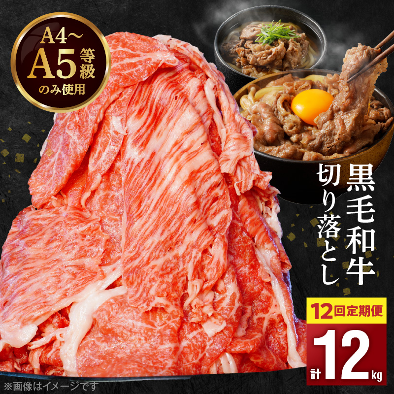 S001-001-T12_【定期便12回】A4～A5等級 黒毛和牛 切り落とし1kg（500g×2P）12か月連続お届け