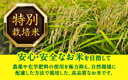 あいちのかおり 白米 10kg / 戸倉トラクター[AECS002-05]