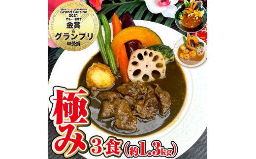 
冷凍 スープカレー 極み 3食セット(計1.3kg) ビーフ 薬膳 エビ
