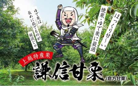 倉方甘栗 焼栗 2kg（250g×8）【氷蔵熟成栗謙信甘栗】新潟 上越 栗 くり