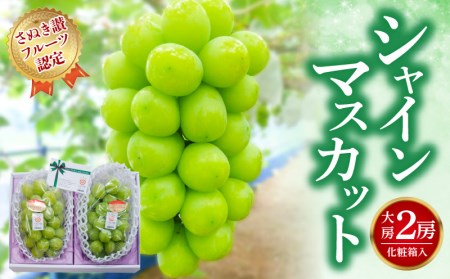 【ふるさと納税】 締め切り間近 【さぬき讃フルーツ認定】シャインマスカット 大房2房（化粧箱入り）シャインマスカット 大粒 贈答用 ギフト お取り寄せ 国産 旬 新鮮 産地直送 高級 ぶどう 葡萄 ブドウ 皮ごと 種なし たねなし 詰め合わせ 詰合せ 詰合わせ  秋 旬