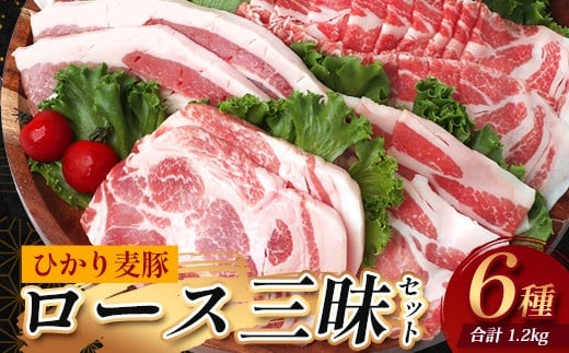 
            鹿児島県産 ひかり麦豚 ロース三昧セット6種類 （200g×6パック）計1.2kg トレーなし 冷凍 | 精肉 肉 お肉 にく 豚肉 黒豚 かごしま黒豚 ロース肉 ロース 肩ロース 真空冷凍 産地直送 新鮮 小分け 産地直送 鹿児島県 南大隅町 ひかり麦豚直売所　HM-12
          