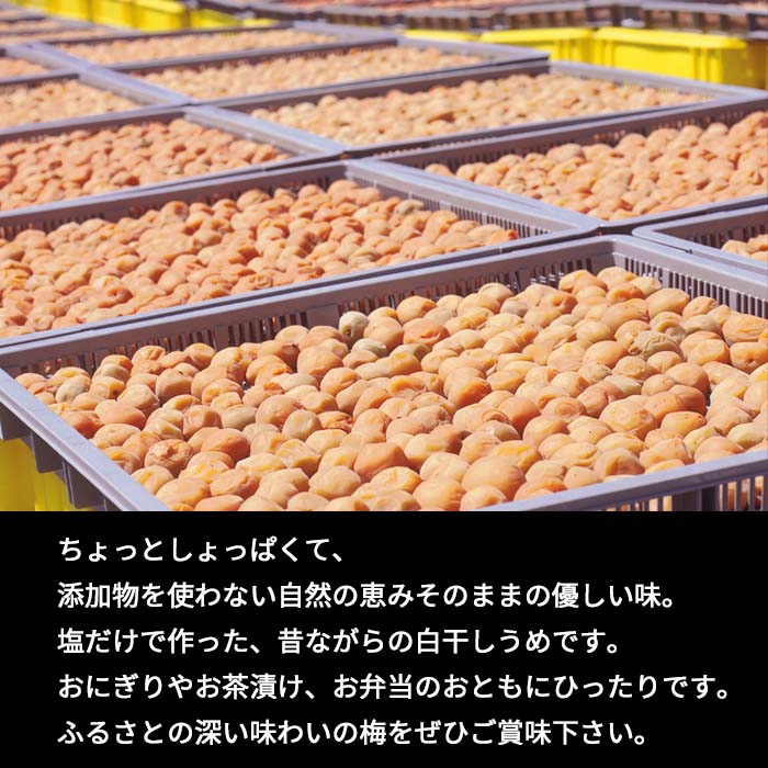 白干しうめ（400ｇ）訳あり うめ ウメ 梅 昔ながら うめぼし ご飯のお供 おにぎり お茶漬け 訳アリ 福井県 若狭町