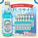 【ふるさと納税】【先行予約】＜網走製造＞あばしりサイダー 340ml×12本入り（2025年4月より順次発送） 【 ふるさと納税 人気 おすすめ ランキング サイダー 網走 あばしり ご当地 ドリンク 飲み物 炭酸 セット 詰合せ オホーツク 北海道 網走市 送料無料 】 ABE028