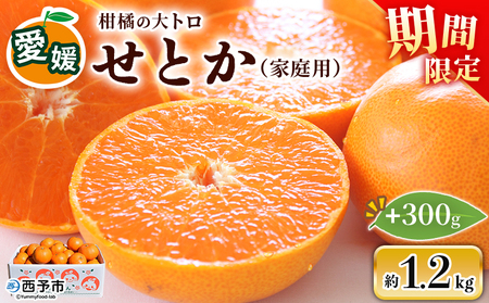 ＜せとか（家庭用）約1.5kg＞ 自宅用 訳あり ワケアリ 果物 くだもの フルーツ ミカン みかん セトカ 蜜柑 高級柑橘 柑橘の大トロ 柑橘 特産品 笑丸 愛媛県 西予市 常温『2027年3月上旬～4月上旬頃に順次出荷予定』AAN0079
