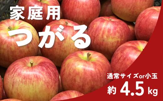 
            りんご つがる 家庭用 約4.5㎏（通常サイズor 小玉） / 8月下旬頃～配送予定 // 長野県 南信州 松川町産 自家用 訳あり リンゴ 林檎 早生りんご 農家直送 農家支援 産地直送 約5kg KR28 KR37
          