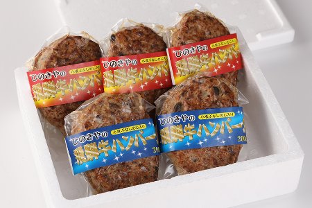 飛騨小坂ぶなしめじ入り  飛騨牛ハンバーグ（200g×5個）冷凍【72-1】