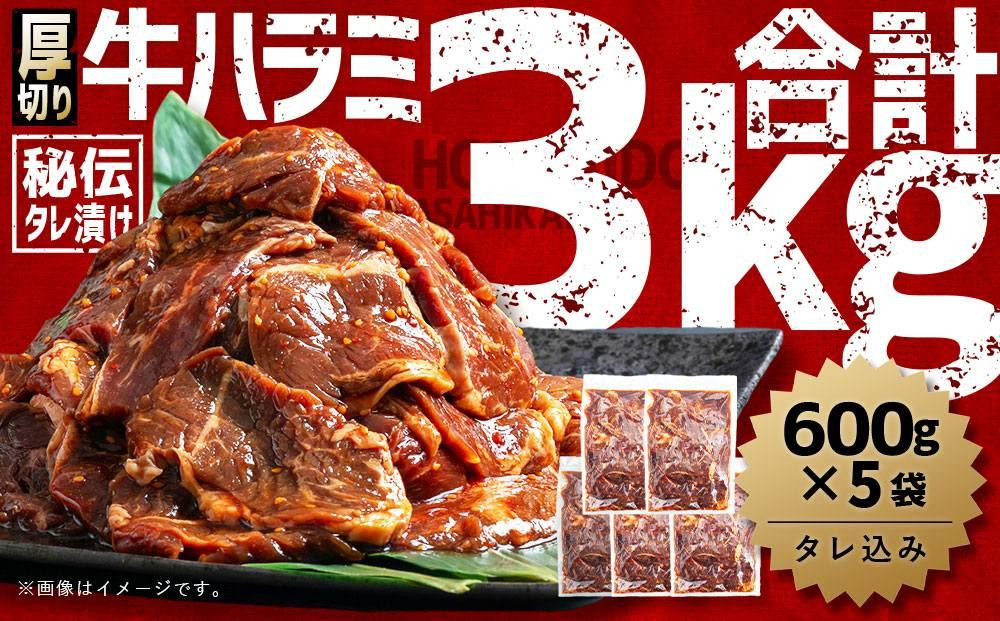 
厚切り柔らか秘伝の味付き牛ハラミ(サガリ) 3.0kg(600g×5袋※タレ込み)_01661
