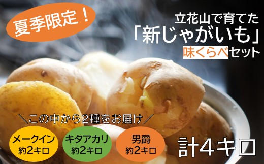 ZH180.【夏季限定】立花山で育てた「新じゃがいも」2種味くらべセット（約4kg）／約2kg×2品種
