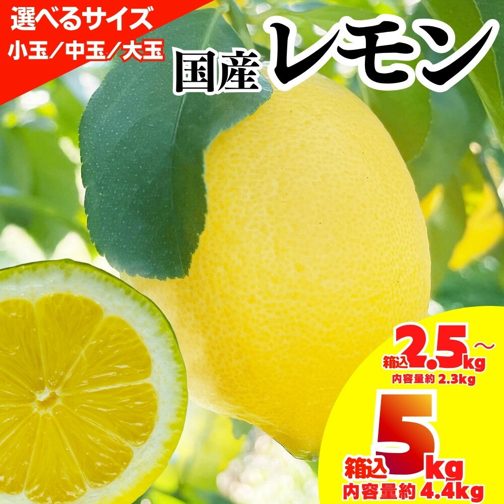 【ふるさと納税】【選べる大きさ/重量】レモン 小玉～大玉 国産 箱込2.5kg(内容量約2.3kg) ～ 箱込5kg(内容量約4.4kg) 秀品 サイズミックス 和歌山県有田産 【みかんの会】 | フルーツ 果物 くだもの かんきつ 柑橘 柑橘類 みかんの会 送料込み 送料無料