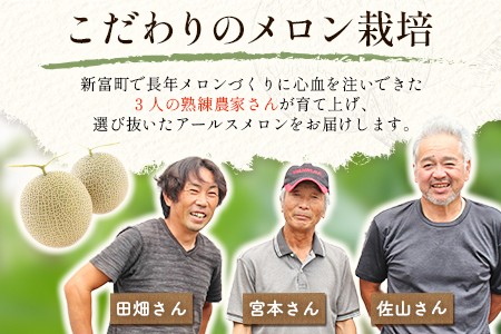 ＜数量限定＞しんとみアールスメロン 2L2玉 計3kg以上 先行予約 国産 フルーツ 果物 宮崎県産 ※2025年11月～12月の期間内に出荷【B520-01】