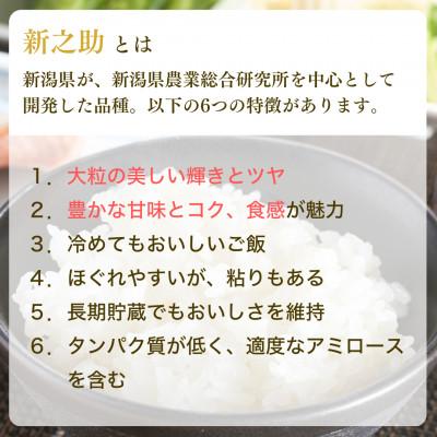 ふるさと納税 出雲崎町 【毎月定期便】新潟県 出雲崎町産 「新之助」 精米 5kg全3回 |  | 01