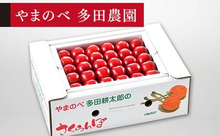 《先行予約》2026年 山形県産 「真夏のルビー紅姫」本詰 約500g L-2L やまのべ多田耕太郎のさくらんぼ サクランボ F20A-786