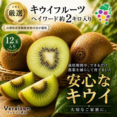 
                  キウイフルーツ(ヘイワード)約2kg【1178154】
                