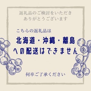 朝摘みブルーベリー 生果実 1kg ベリー 