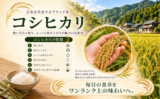 令和8年産 山口県産米 コシヒカリ 2kg 3回 定期配送 ｜ 令和8年産 コシヒカリ 山口県産米 こめ お米 コメ 白米 米 新米 ごはん 定期便 地元応援 瀬戸内 山口県 平生町 2kg