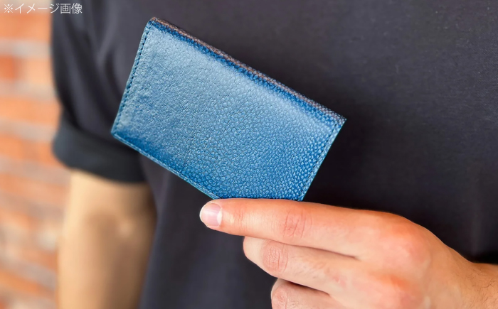 【Sea Green】Ocean Leather 名刺入れ〈ブリ〉Lサイズ【興洋フリーズ株式会社】 [ATBX067-04]