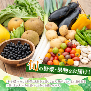 y359 《定期便・全6回》野菜と果物旬の詰め合わせ(12～14品目) 国産 九州産 鹿児島県産 野菜 やさい 果物 くだもの フルーツ デザート 詰め合わせ お楽しみ セット 旬【鹿児島県経済農業協