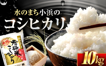  福井県産 コシヒカリ 精米 (白米) 10kg 一等級　福井県米 /甘みと粘りが際立つ 王道米 こしひかり 小浜市 / 若狭ふれあい市場[BFEL018]